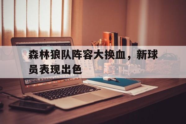 森林狼队阵容大换血，新球员表现出色